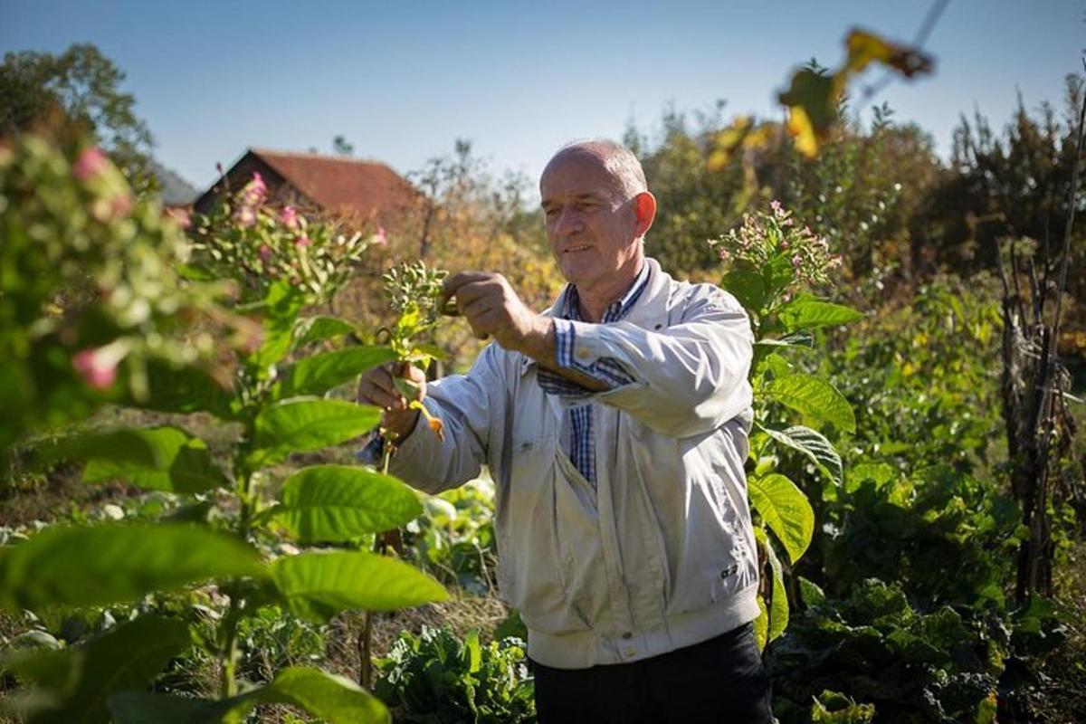 an older man is standing in a garden