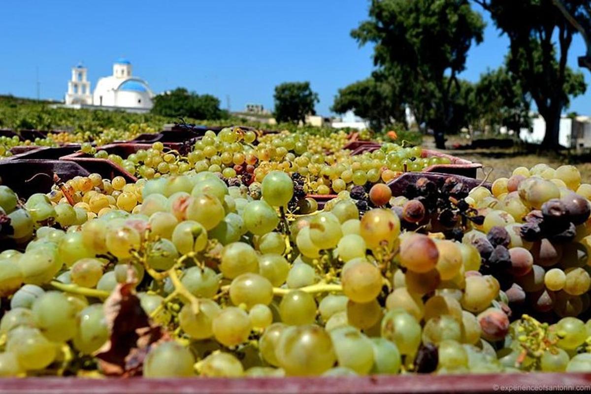 Un racimo de uvas sobre una mesa