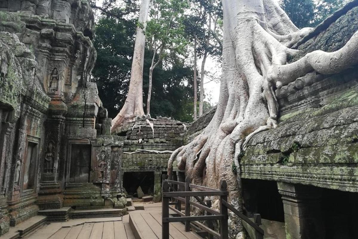 un edifici amb arbres que creixen al costat