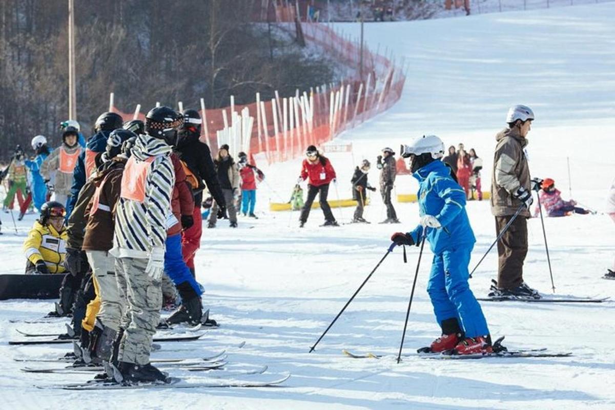 a group of people on skis in the snow