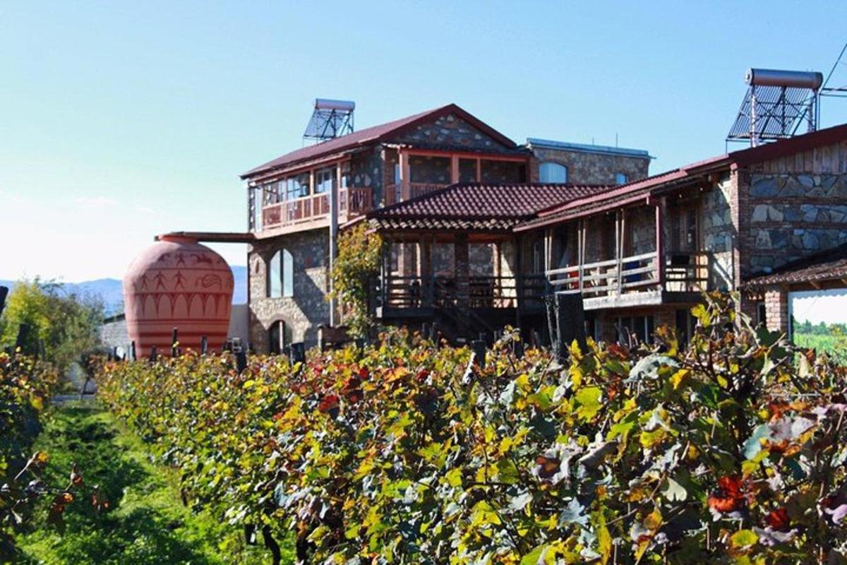 una casa amb un camp de flors al davant