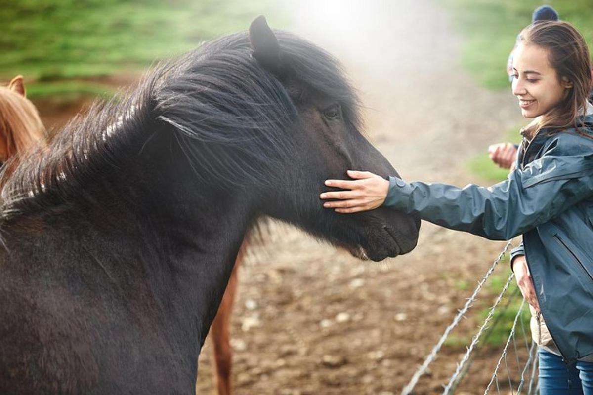 a young woman petting a brown horse