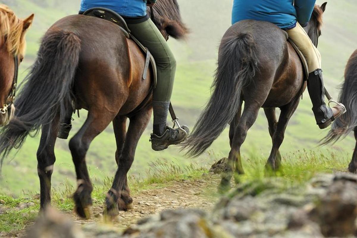 zwei Personen reiten auf Pferden auf einer unbefestigten Straße