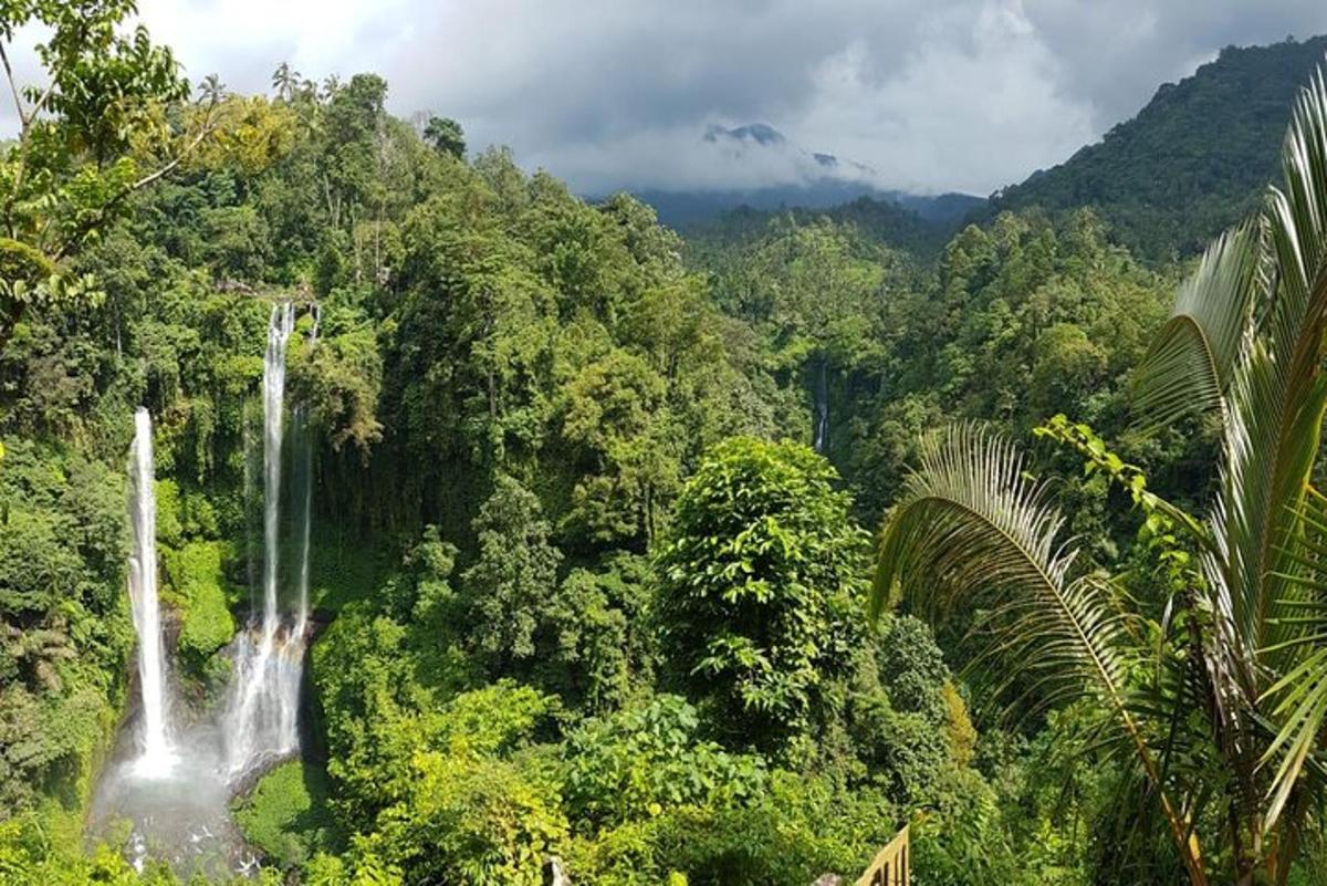 una cascata in mezzo a una foresta