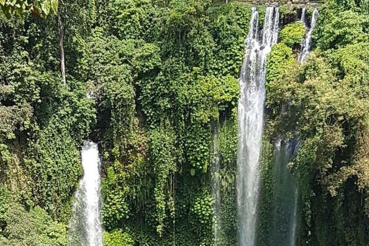 una cascata in mezzo a una foresta