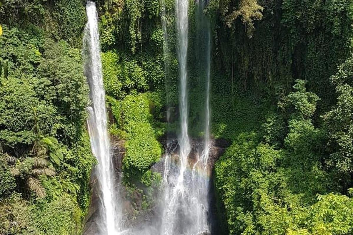 uma vista aérea de uma cachoeira em uma floresta
