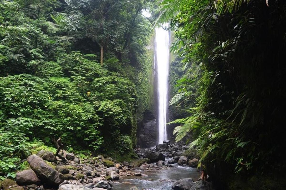 a waterfall in the middle of a stream in a forest