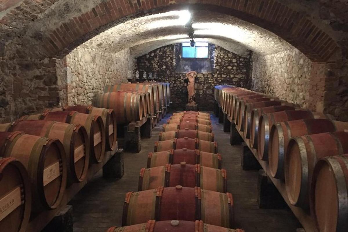 uma adega com fileiras de barris de vinho