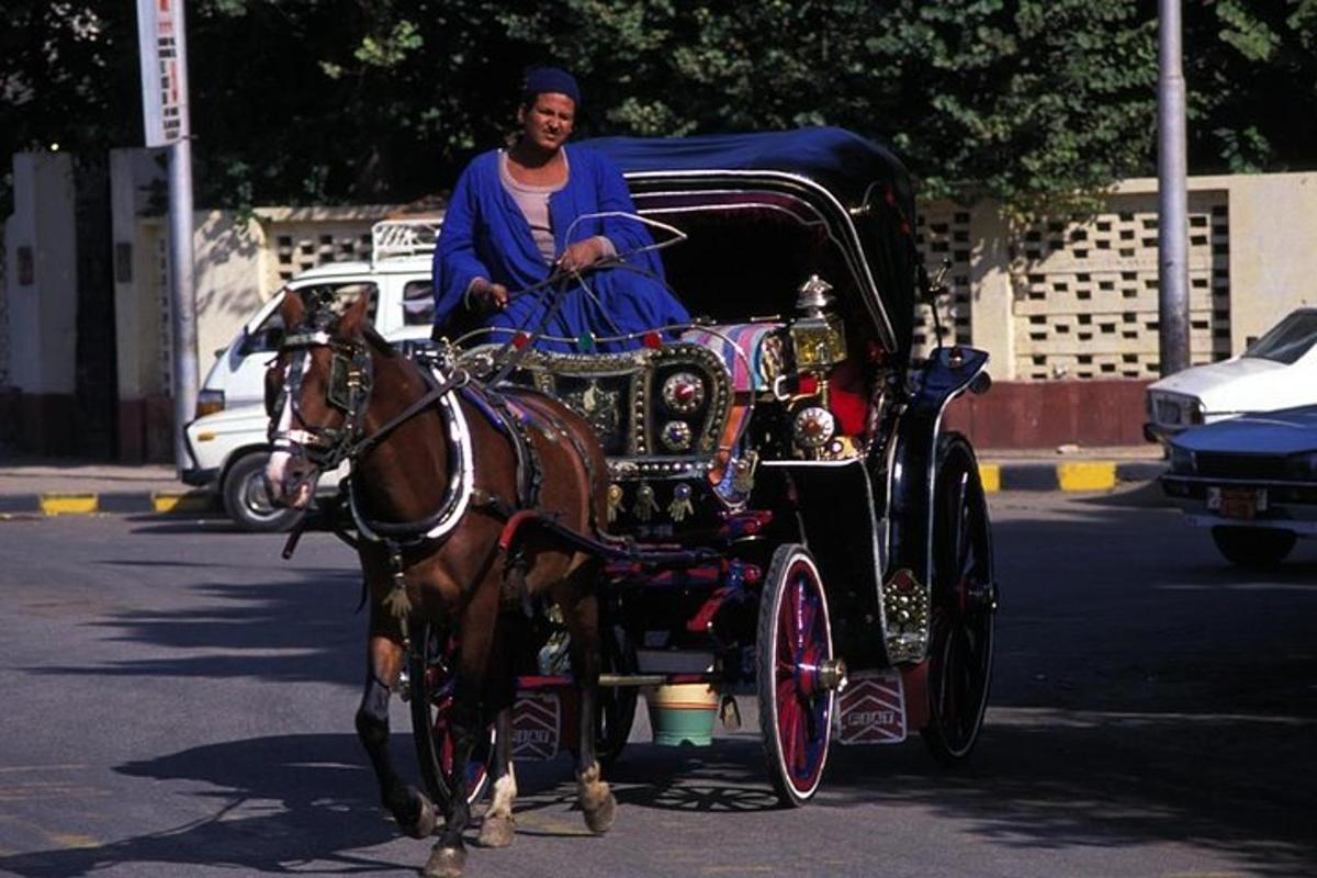 Un hombre que viaja en un carruaje tirado por caballos en una calle