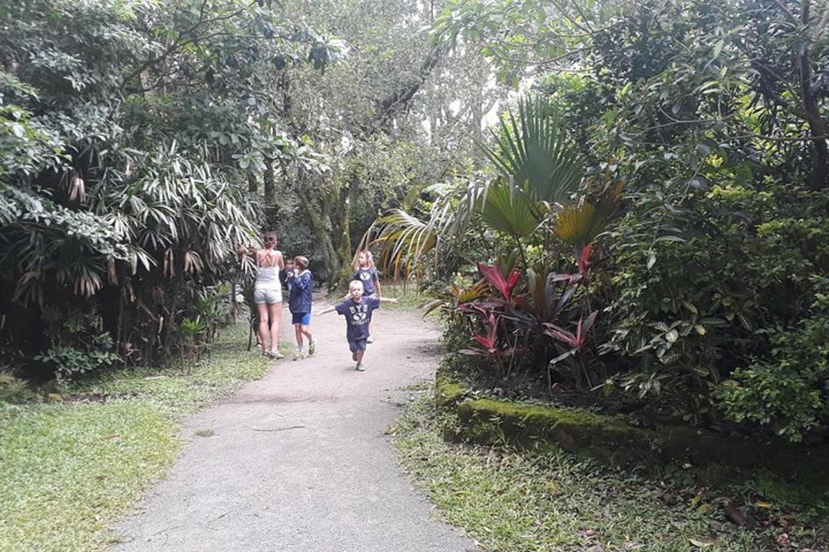 una famiglia che cammina lungo un sentiero in una foresta