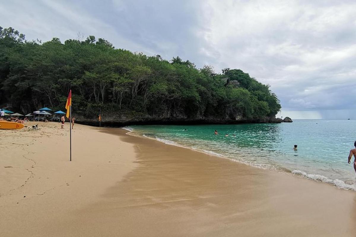 pantai dengan orang di dalam air dan pokok