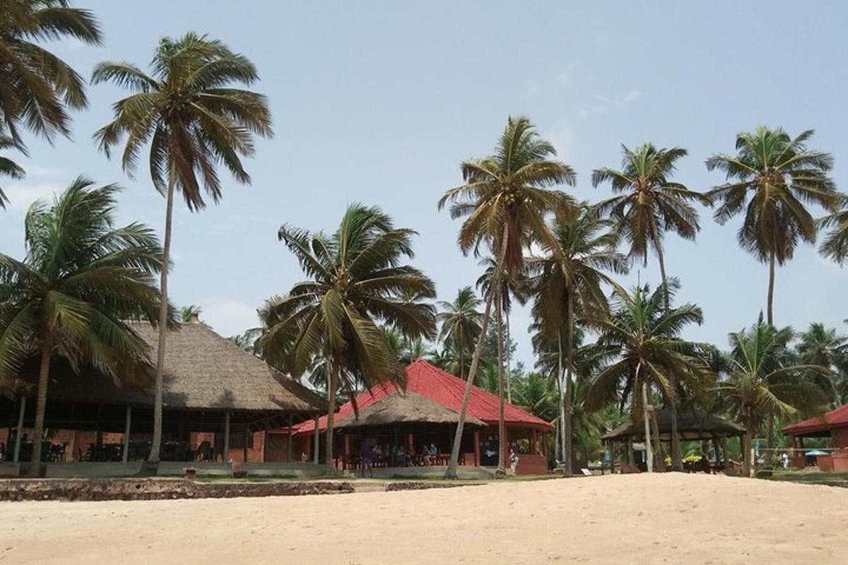 un resort con palme sulla spiaggia