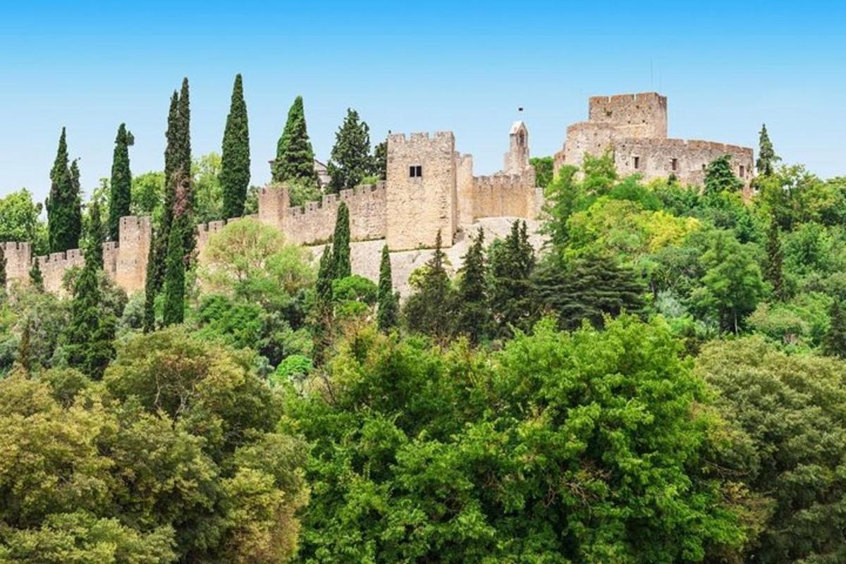 um castelo no topo de uma colina com árvores