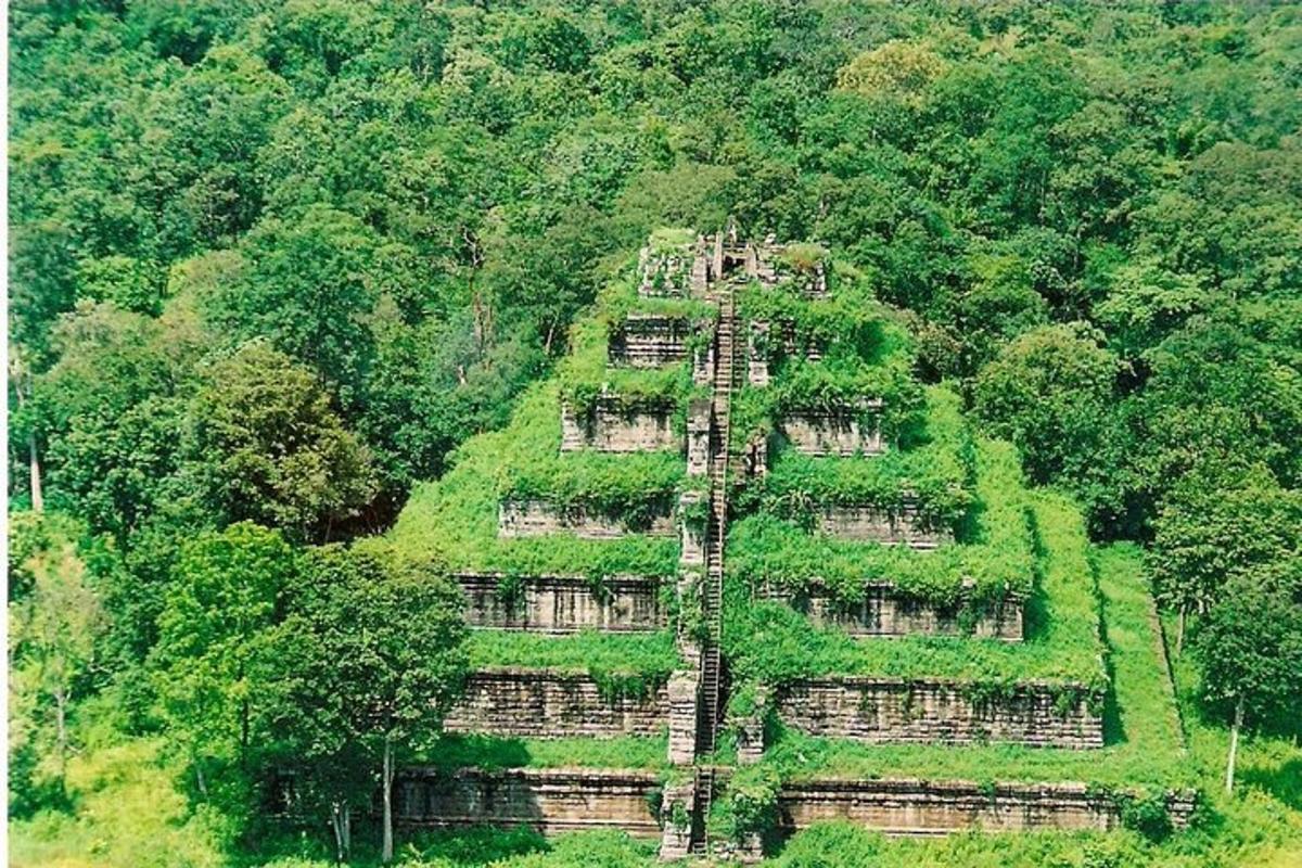 ein großes Gebäude mitten in einem Wald