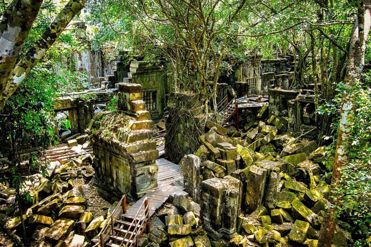 một đống đổ nát trong một khu rừng có cây cối