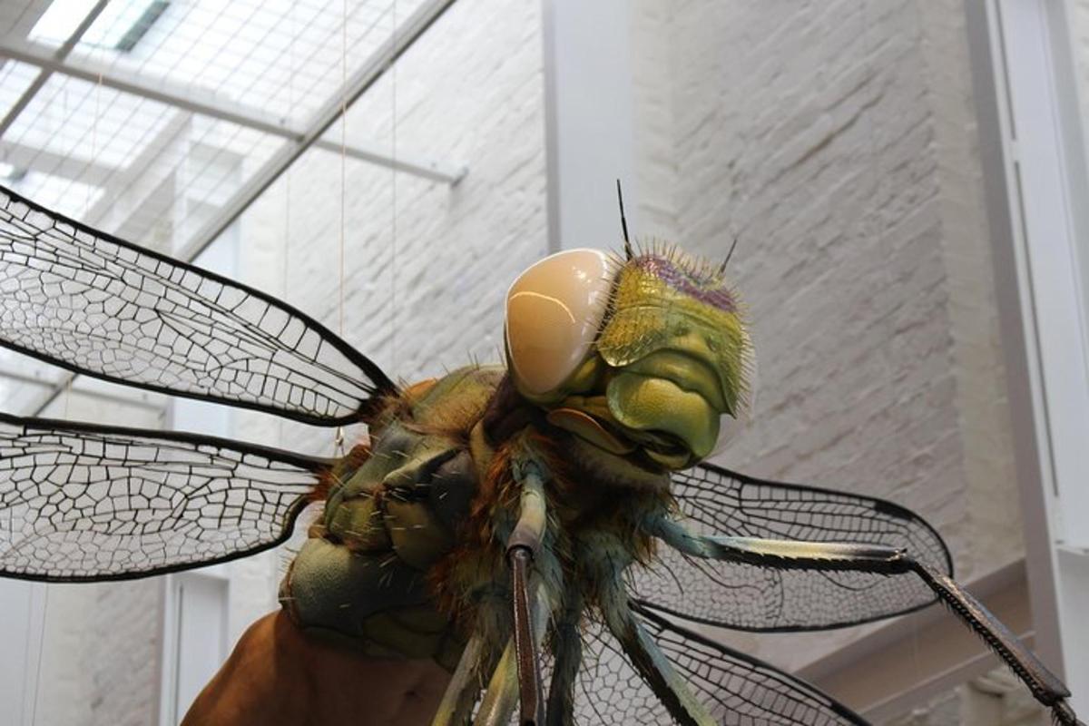una persona che tiene una libellula su una rete