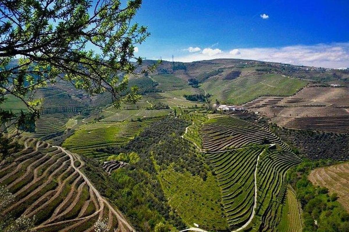 una vista aerea di una valle tra le montagne