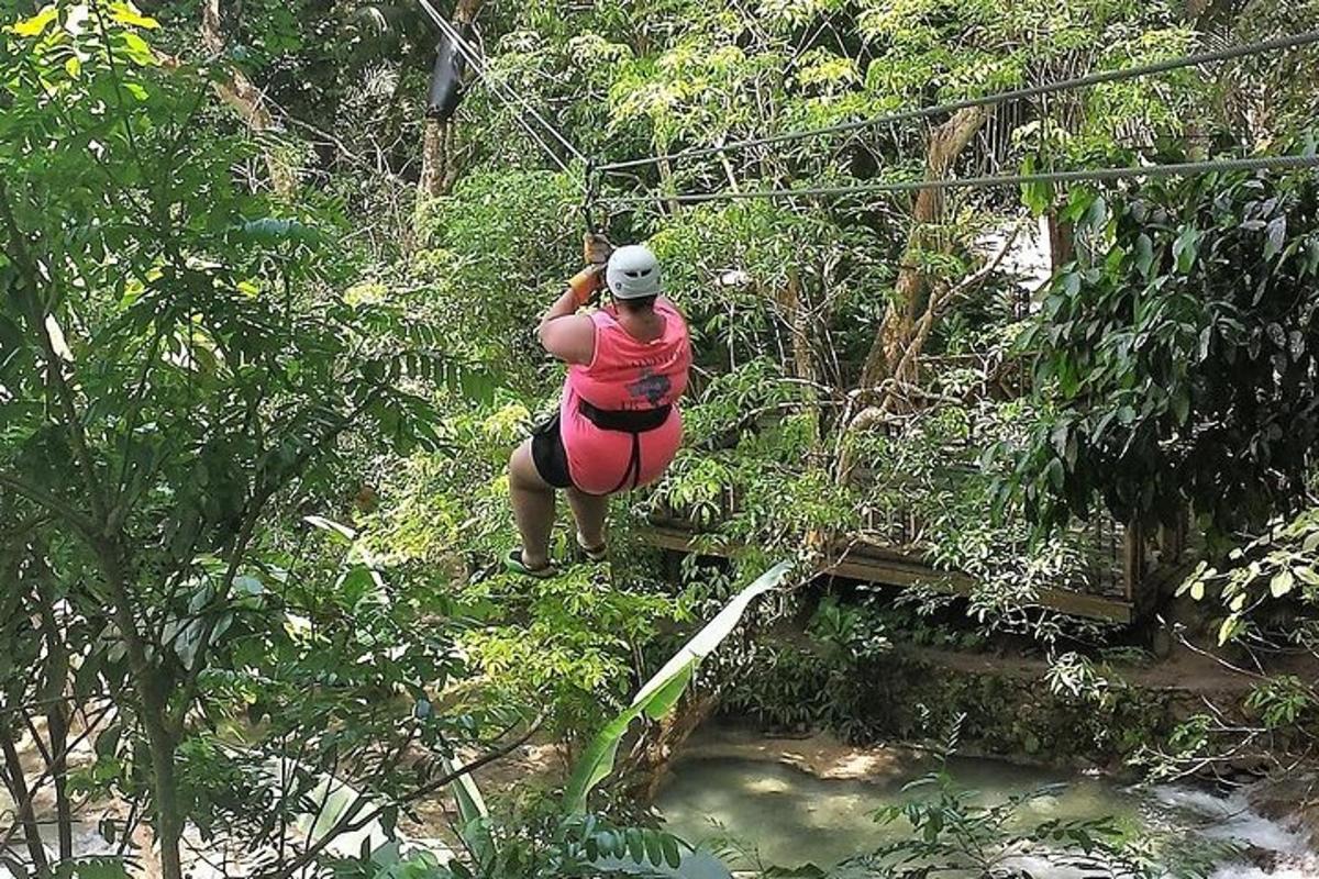 una persona en una tirolesa en la jungla