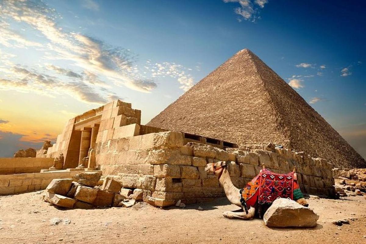 ťava sediaca pred pyramídami