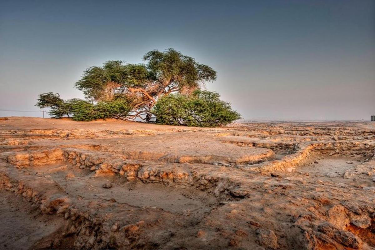 صورة رقم 6 للمعلم السياحي