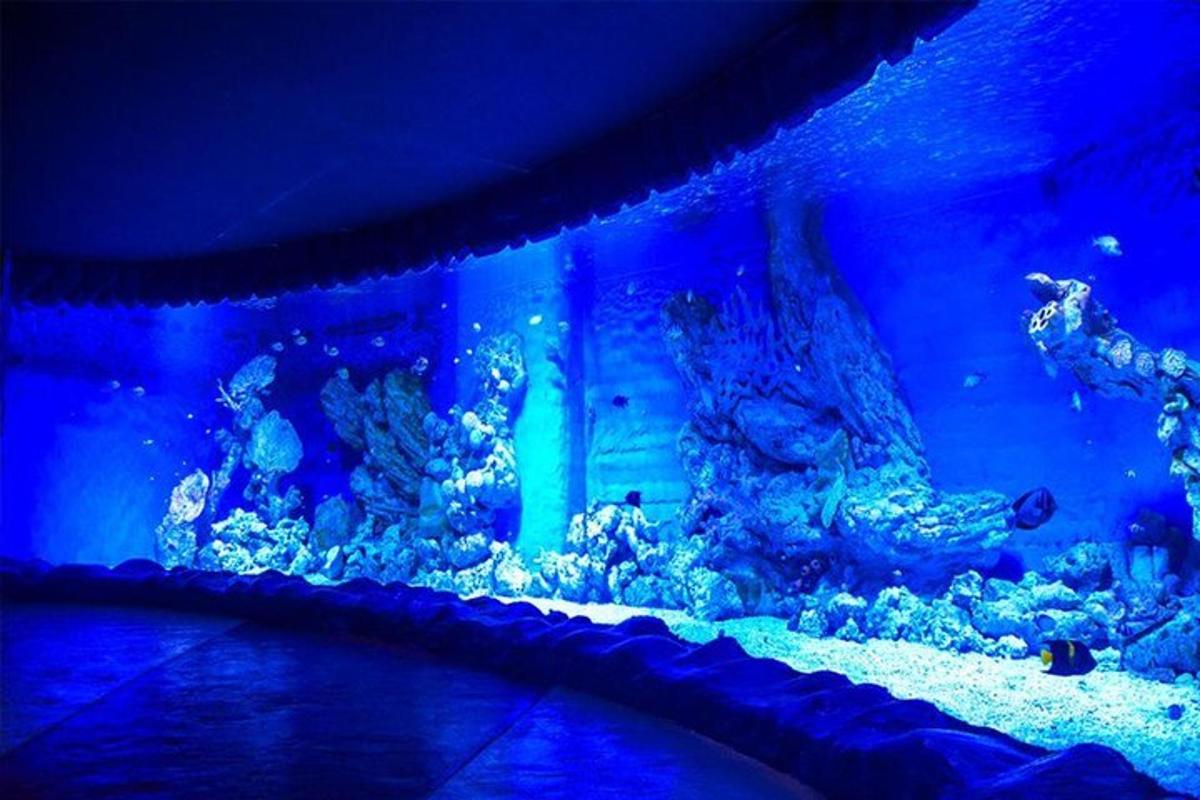 Photo de l’attraction numéro 7.