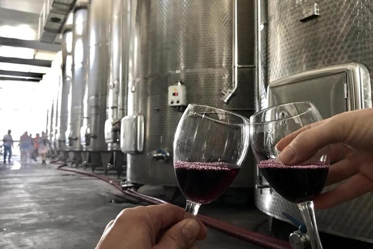 duas pessoas segurando taças de vinho em uma adega