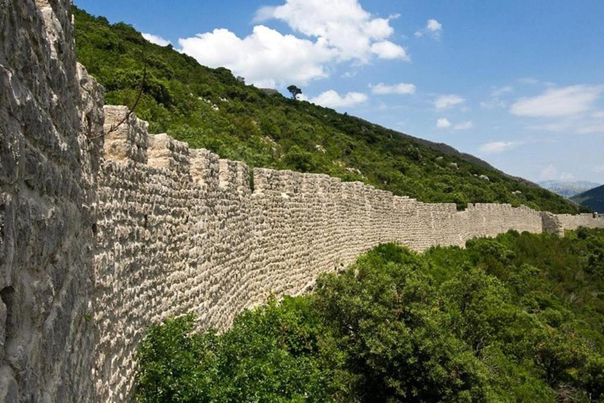 Un gran muro de piedra con árboles en una montaña.