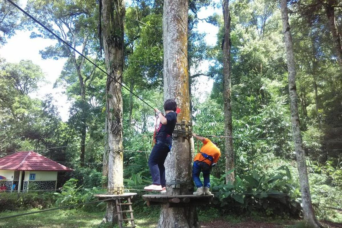due persone su una teleferica tra gli alberi