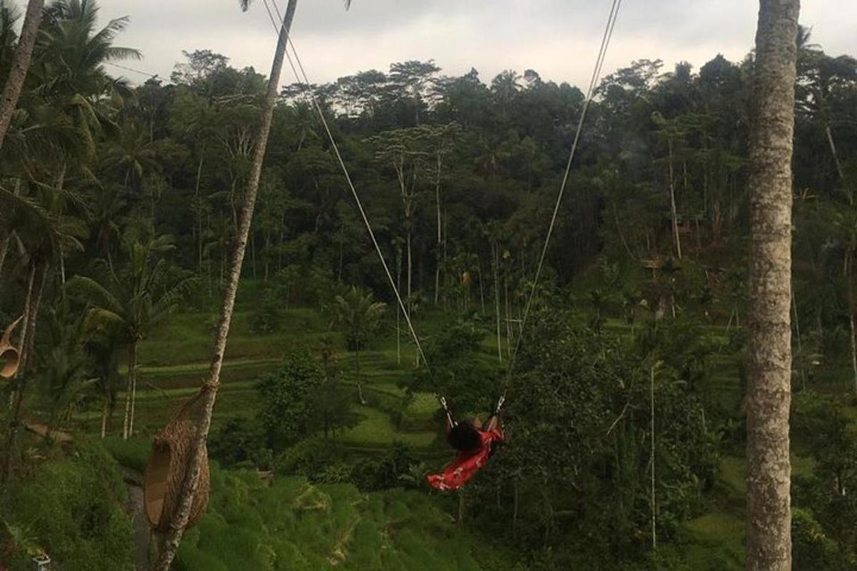 một người đang đu trên một sợi dây xích đu trong rừng