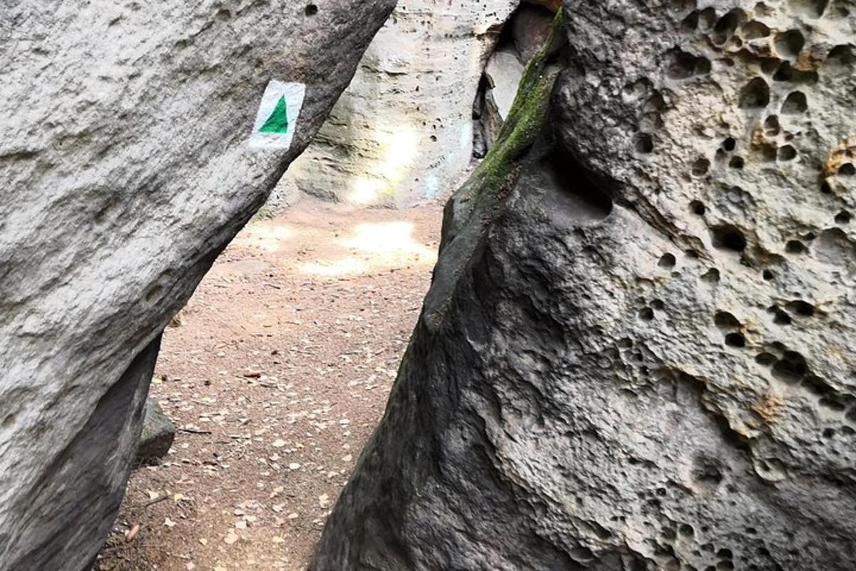 un albero con una freccia verde sul lato