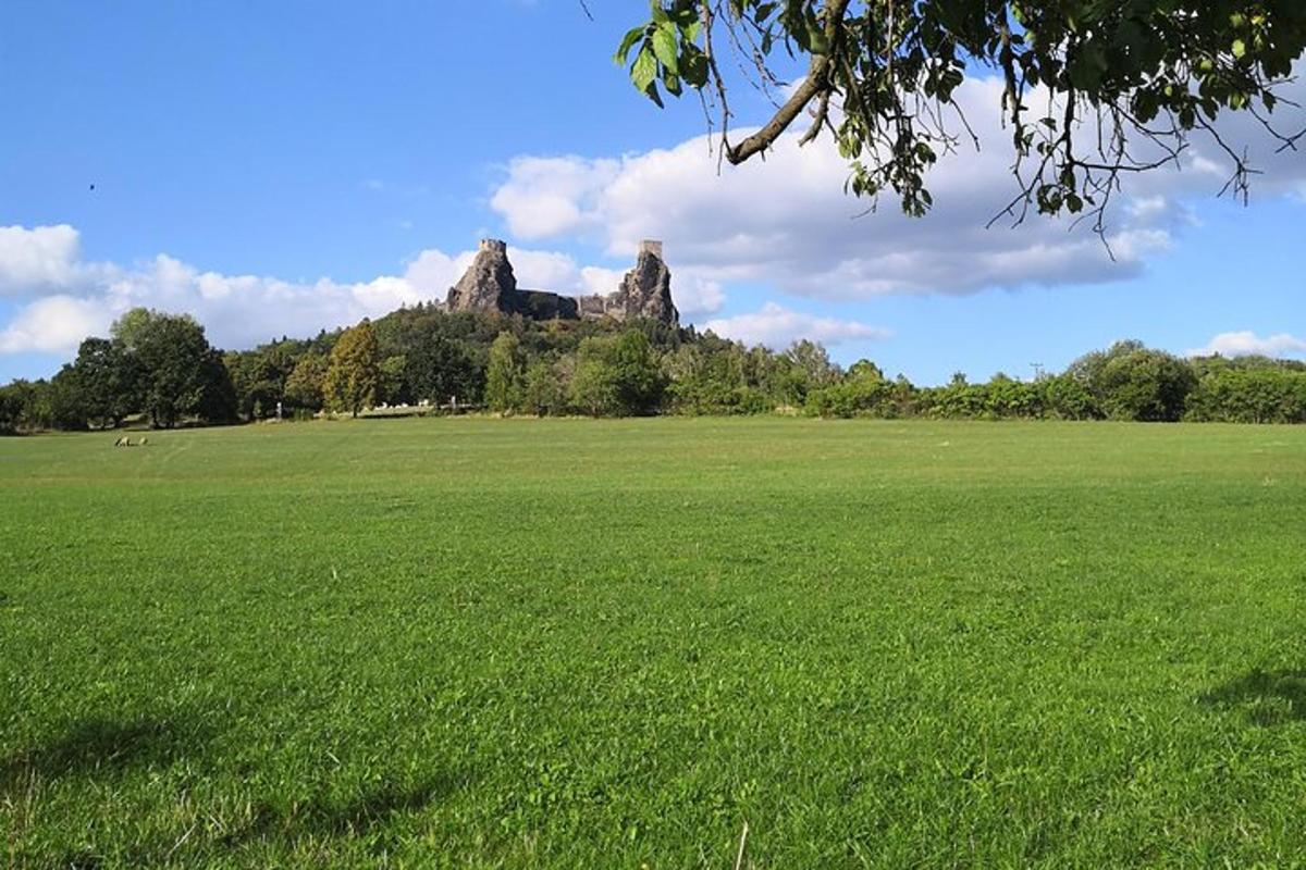 un campo di erba verde con un castello sullo sfondo