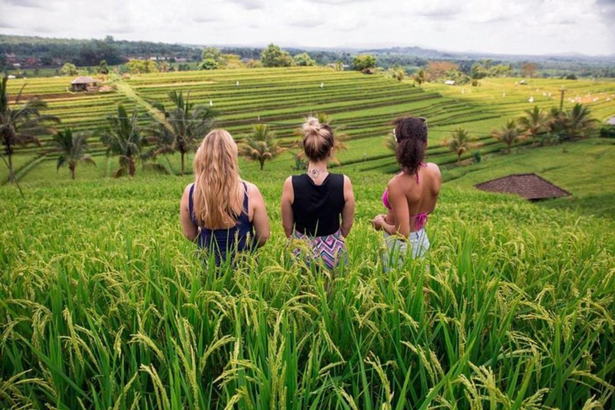 tre donne che camminano in un campo di erba alta