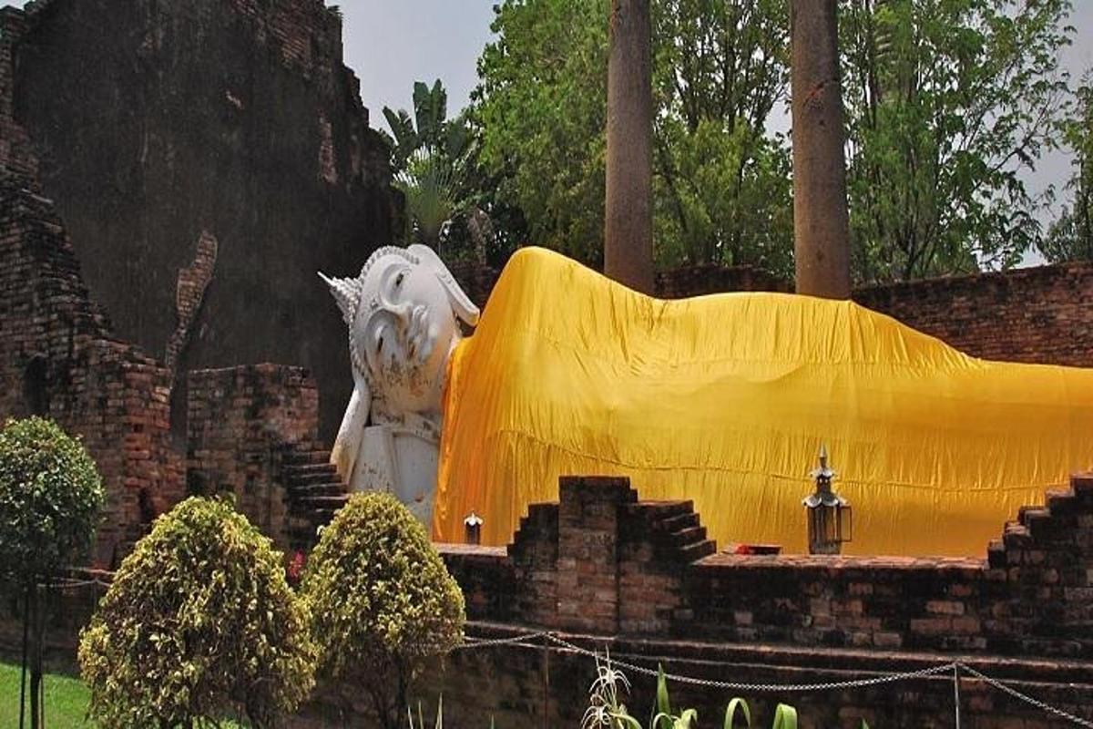 a large statue of a dragon in a park