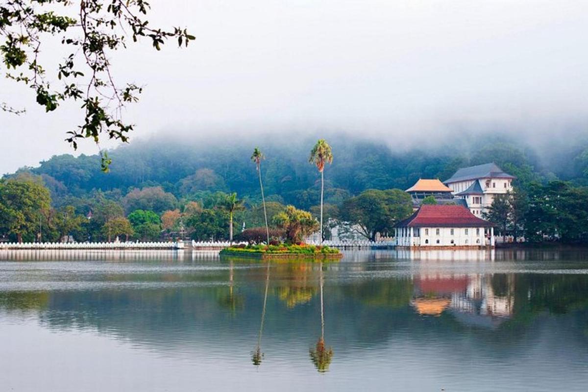 a large lake with palm trees and a building