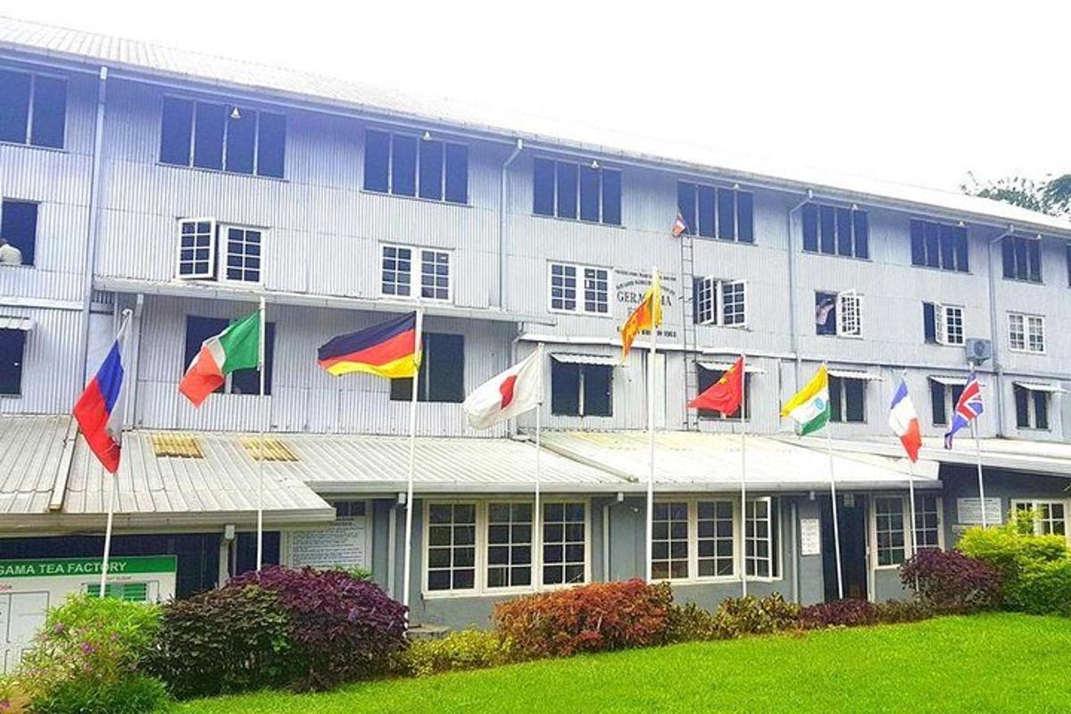 a building with different flags in front of it