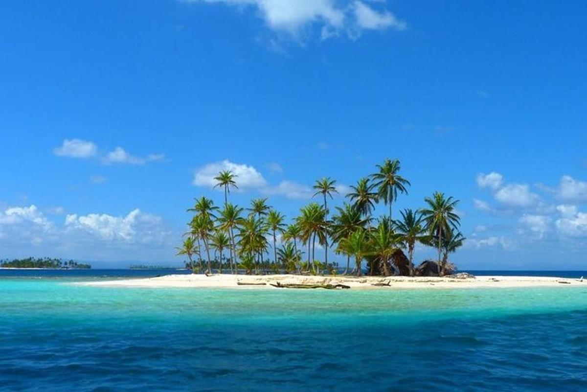 un'isola tropicale con palme su una spiaggia