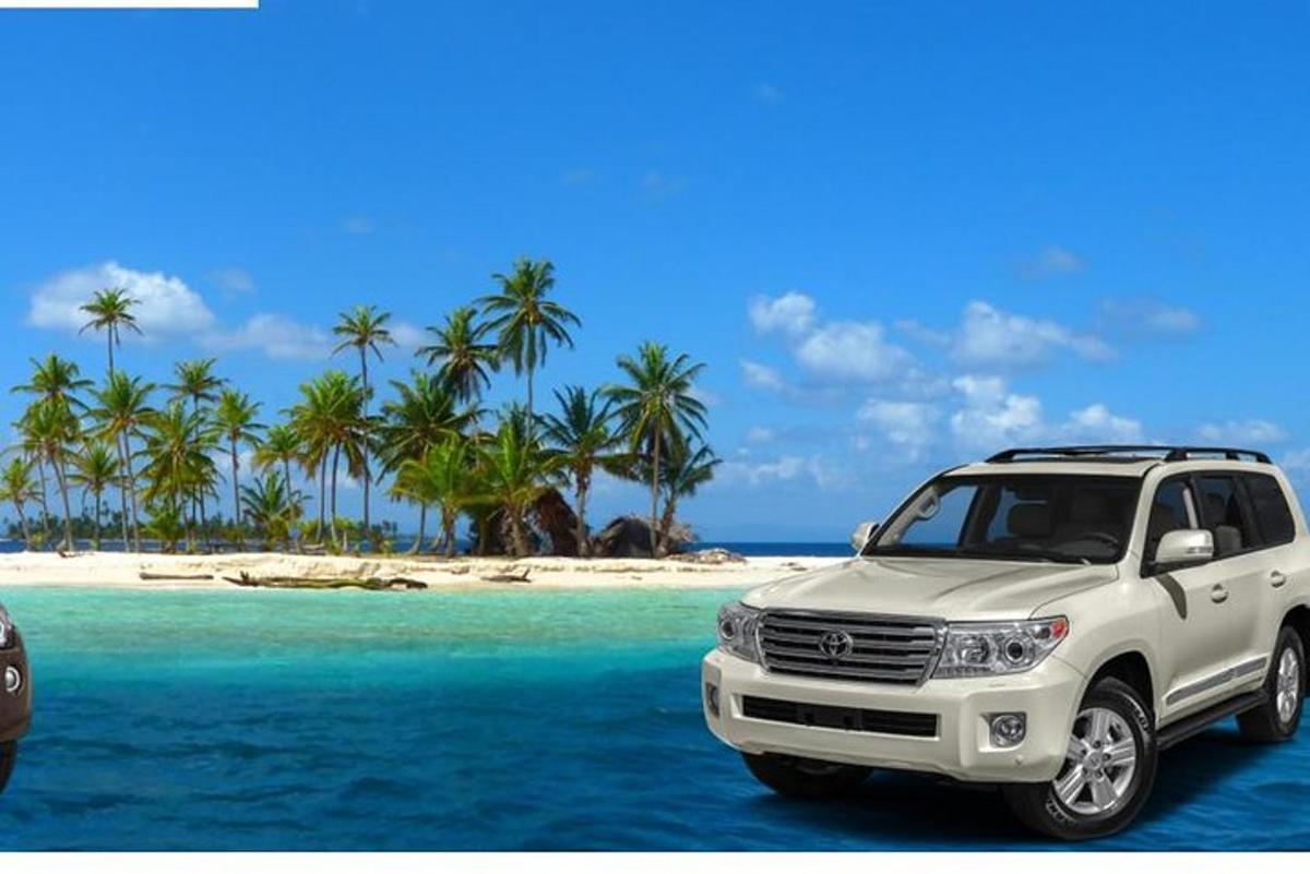 un camion bianco parcheggiato su una spiaggia con palme