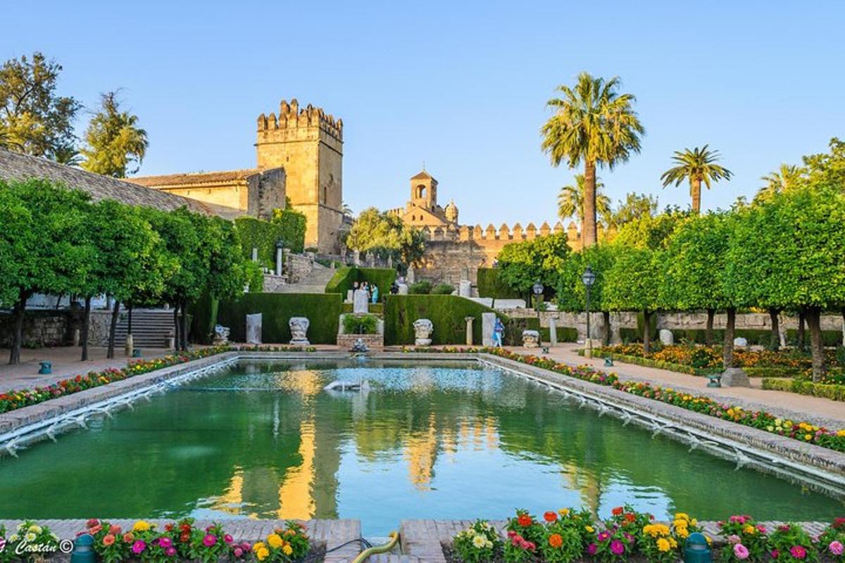 a swimming pool in a garden with a castle in the background