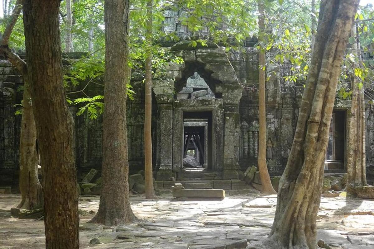 un ingresso di un edificio in una foresta di alberi