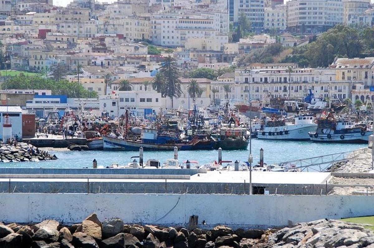 Un grupo de barcos atracados en un puerto con edificios.