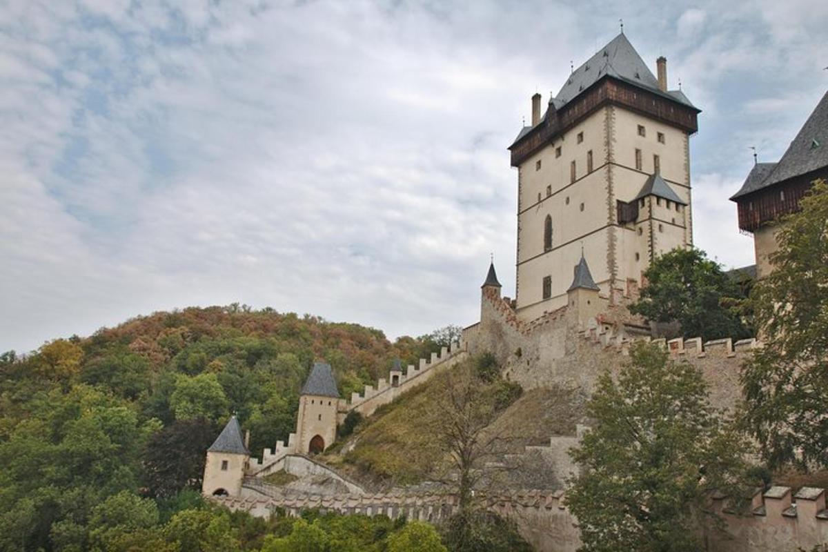 hrad na vrcholu kopce se stromy