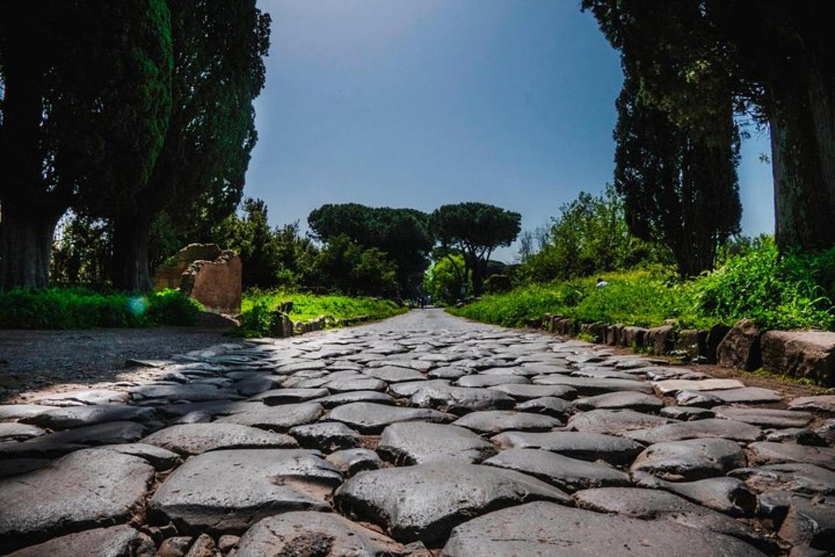 un camí empedrat amb arbres a banda i banda