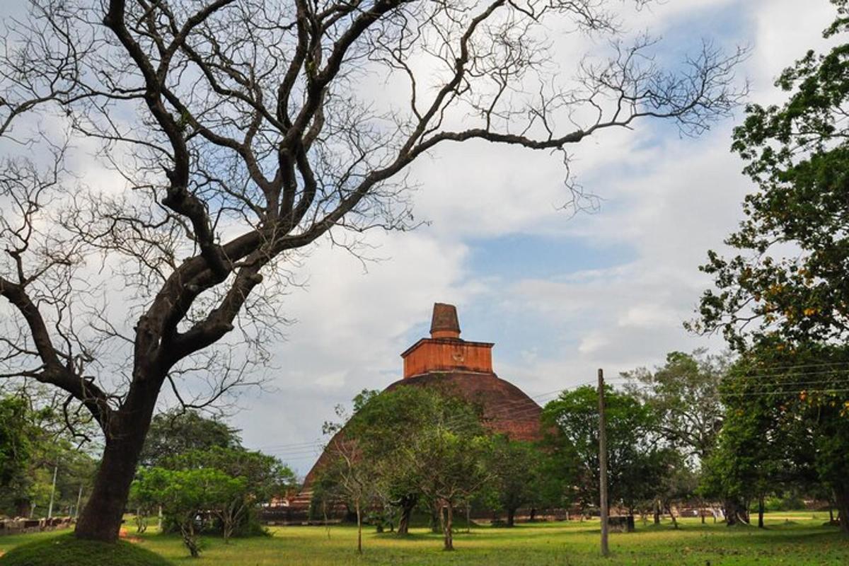 un edifici a sobre d'un camp amb arbres