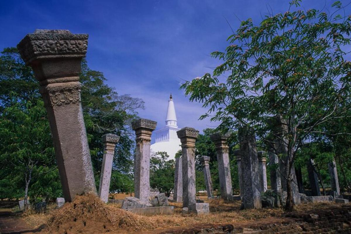 背景是白色建筑的墓地