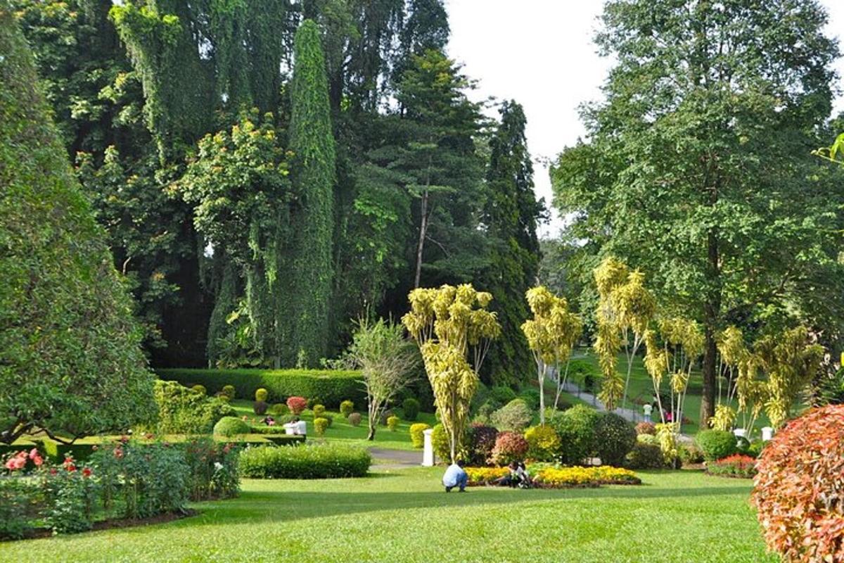 un jardí amb arbres i arbustos i gent asseguda a l'herba