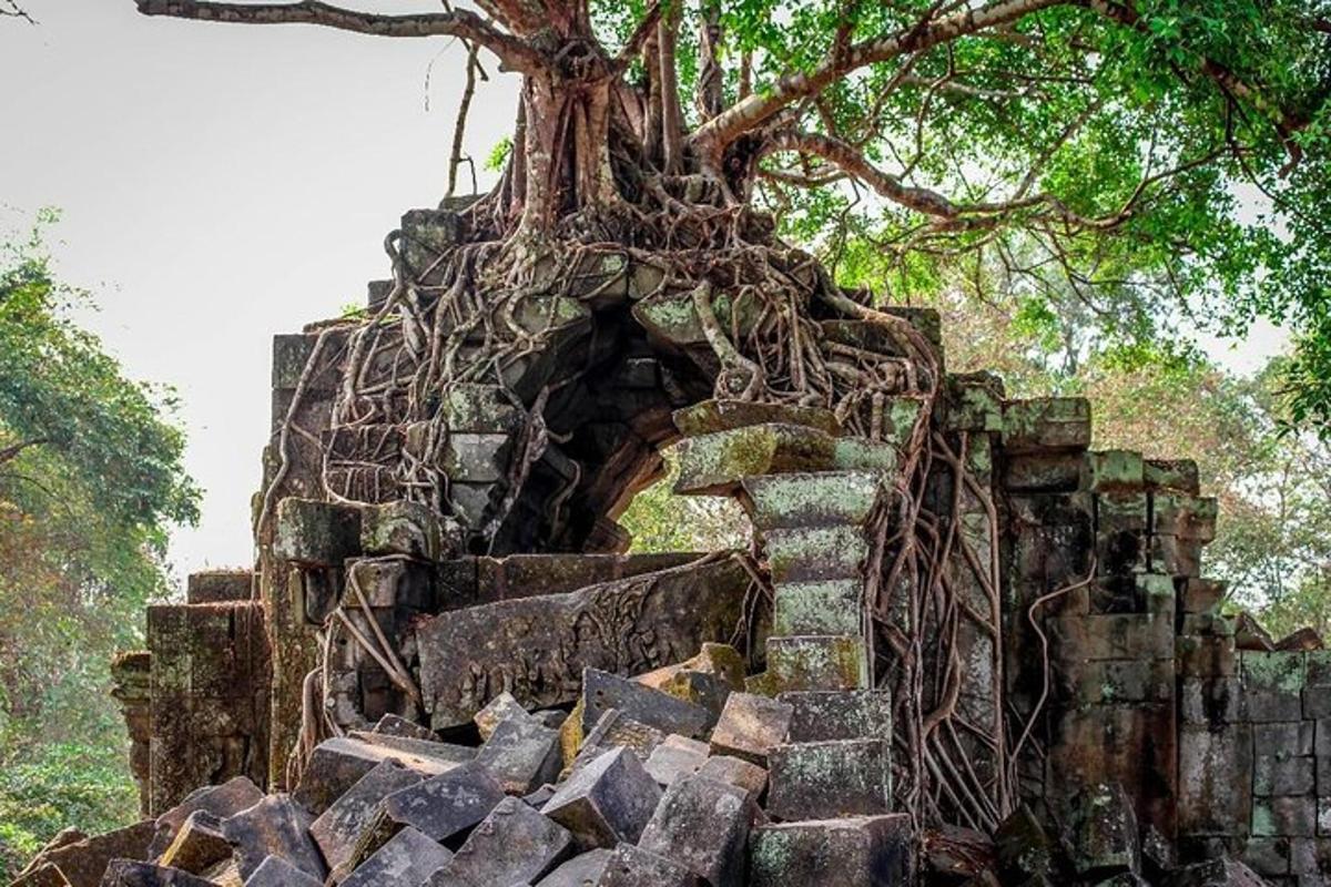 sebuah bangunan lama dengan pokok yang tumbuh daripadanya