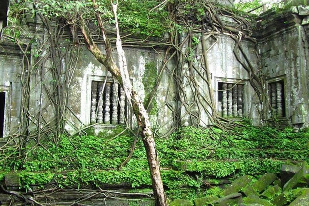 sebuah bangunan lama yang dilitupi ivy hijau dengan pokok