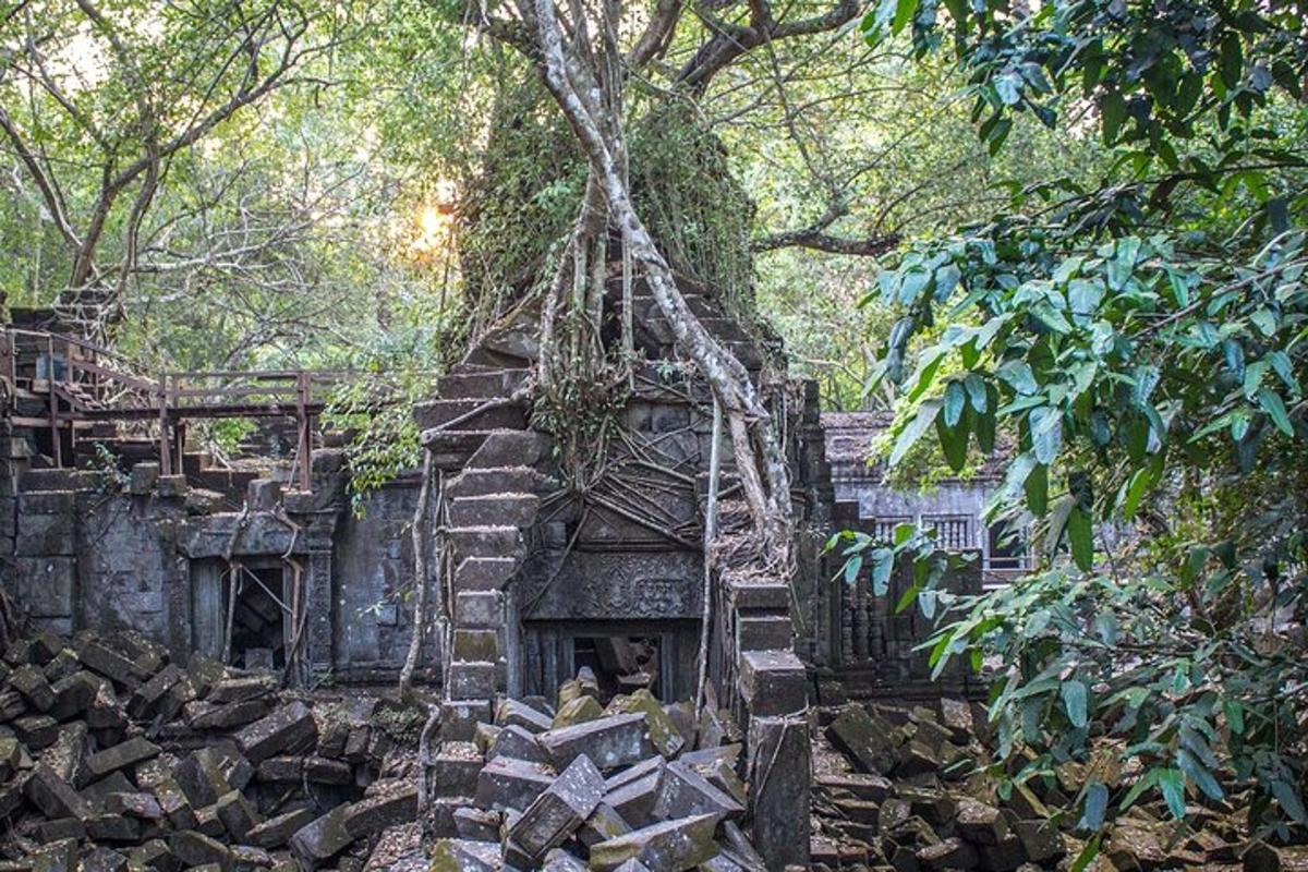sebuah bangunan lama di tengah-tengah hutan