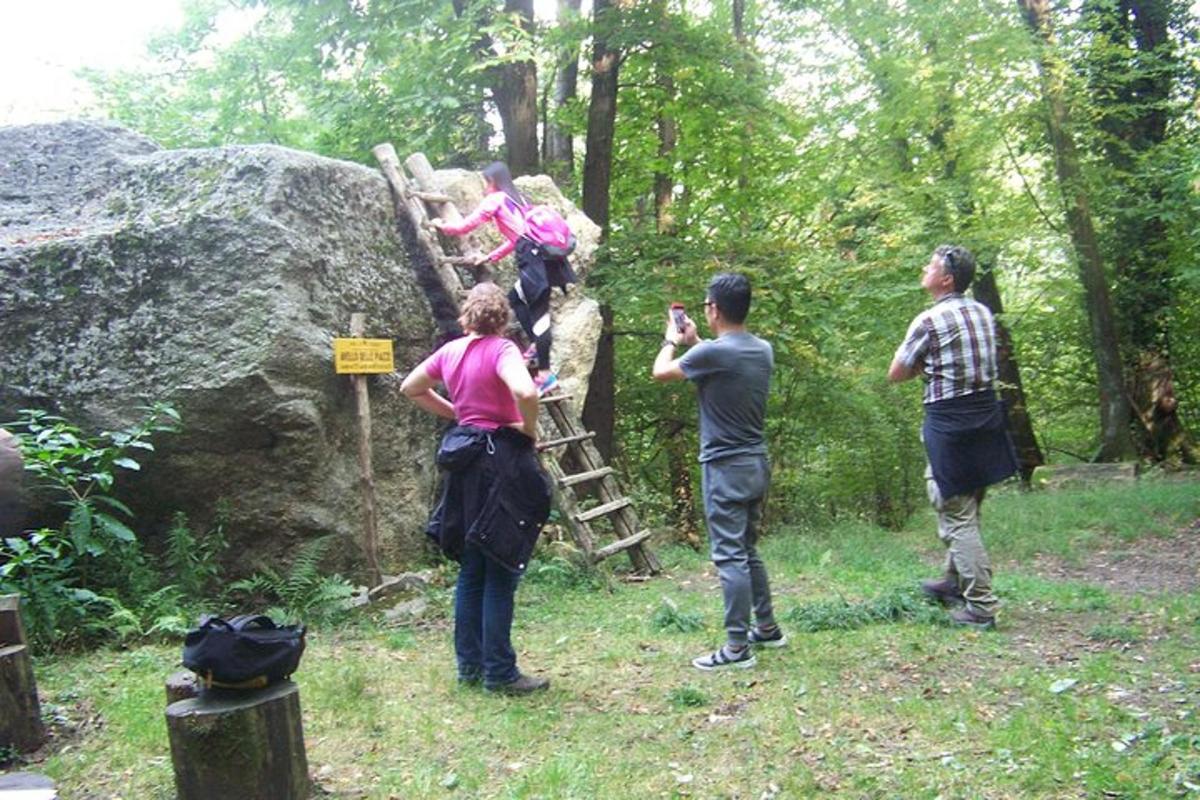 grupp inimesi, kes seisavad metsas redelil
