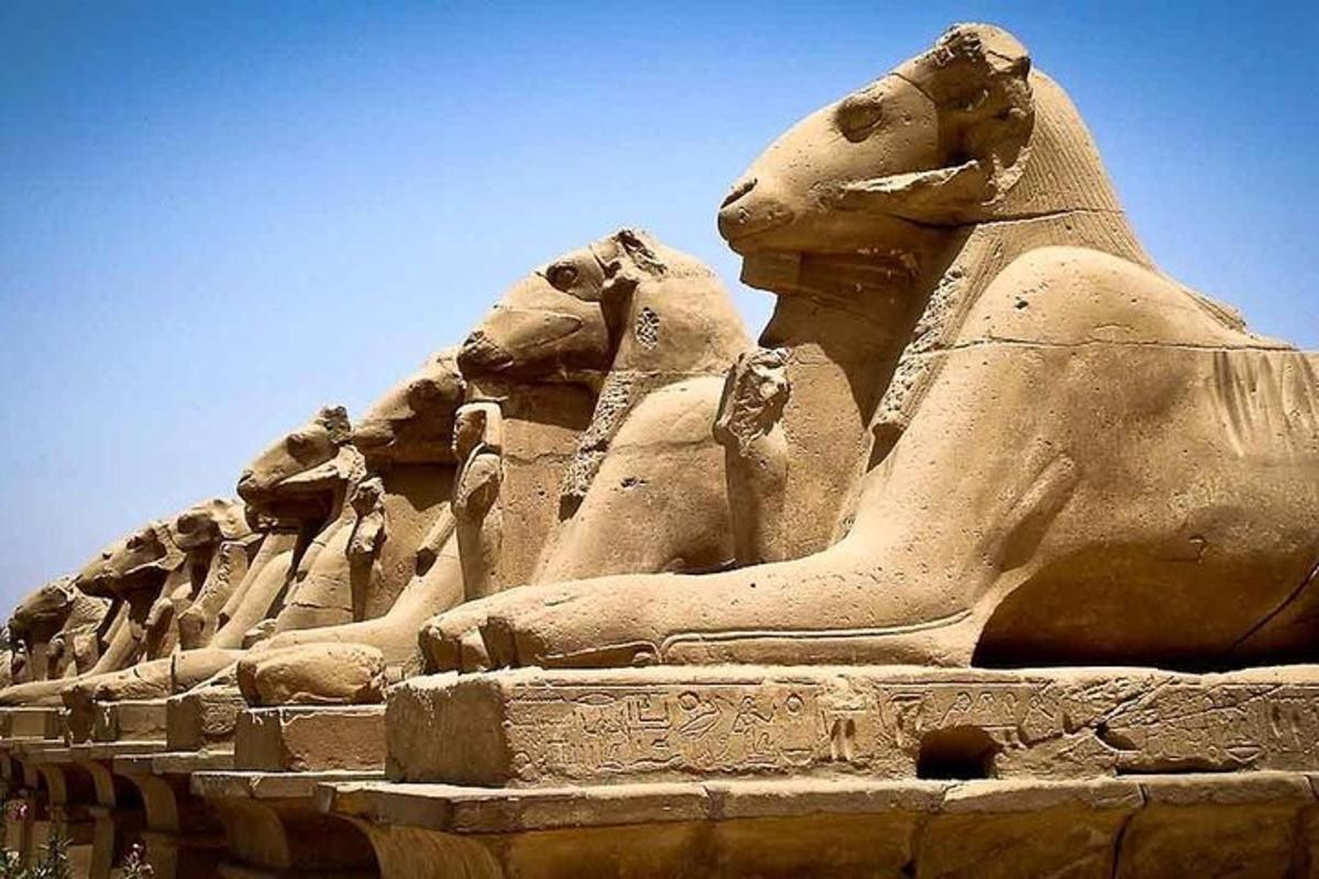 una statua di due cani seduti su un monumento